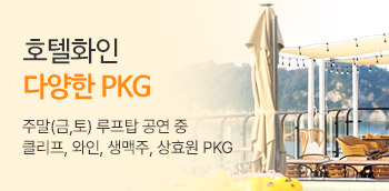 호텔화인 PKG